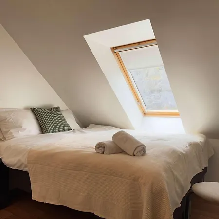 Cozy Apartment - Free Parking